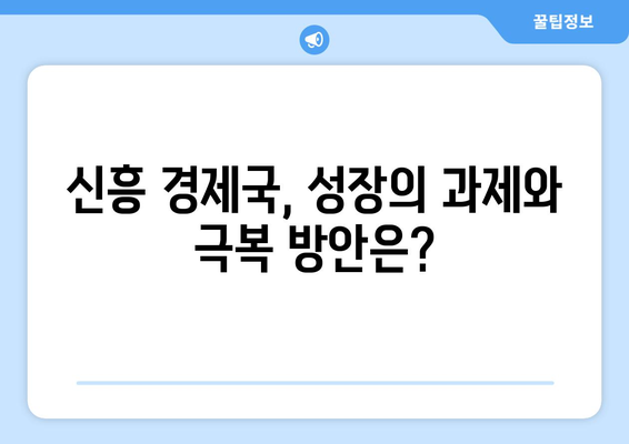 신흥 경제국의 성장 가능성 탐색