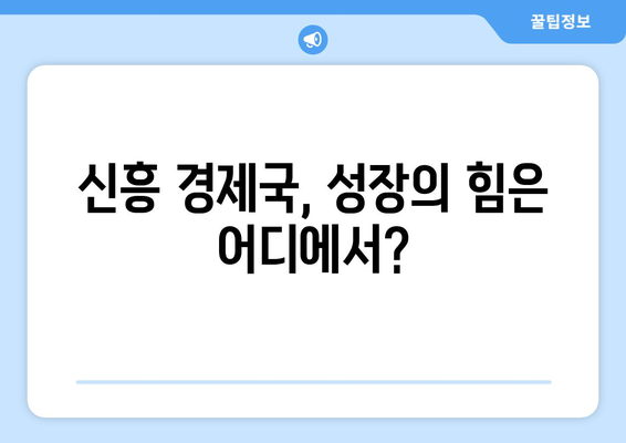 신흥 경제국의 성장 가능성 탐색