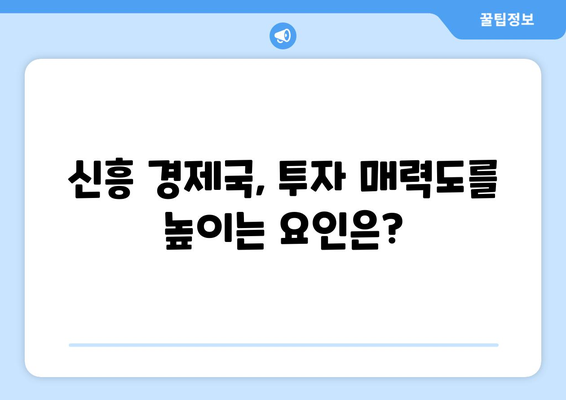 신흥 경제국의 성장 가능성 탐색