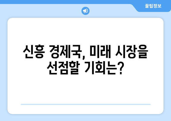 신흥 경제국의 성장 가능성 탐색