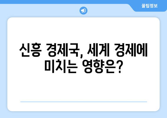 신흥 경제국의 성장 가능성 탐색