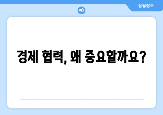 국가 간 경제 협력의 중요성과 성공 사례