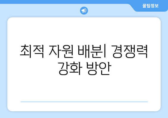 경제적 자원의 효율적 배분을 위한 전략