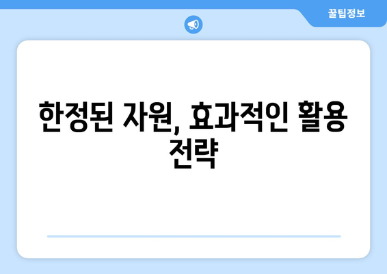 경제적 자원의 효율적 배분을 위한 전략