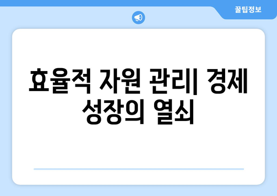 경제적 자원의 효율적 배분을 위한 전략