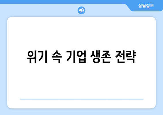 경제적 위기를 넘어서는 기업 전략과 위기 관리 방법