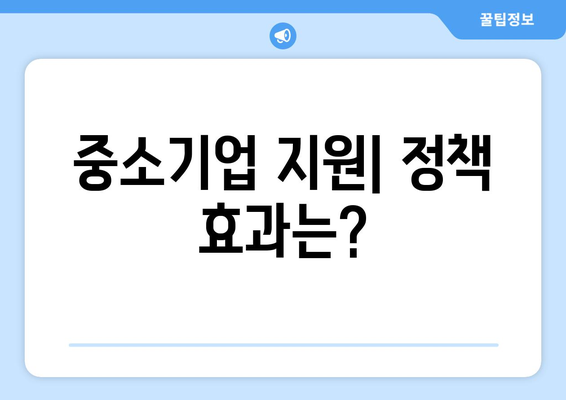 중소기업 지원 정책의 효과와 그 성공 사례 분석