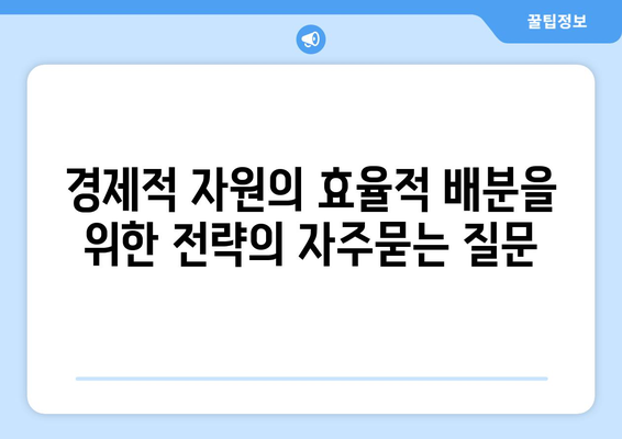 경제적 자원의 효율적 배분을 위한 전략