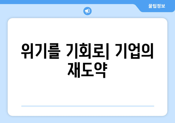 경제적 위기를 넘어서는 기업 전략과 위기 관리 방법